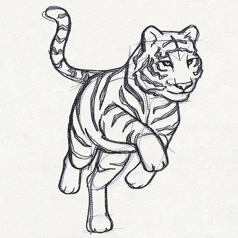 Sketchwork - Tiger | Urban Threads: Unique and Awesome Embroidery Designs Tiger Coloring Pages, Tiger Coloring, Tiger Drawing, Tiger Illustration, Freestanding Lace Embroidery, Urban Threads, Embroidered Canvas, Tiger Design, Tiger Art