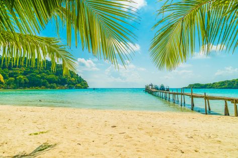 Beautiful tropical beach and sea with coconut palm tree in paradise island Free Photo Fence Murals, Background Anime, Palm Tree Plant, Tree Wall Murals, Beach Sky, Custom Backdrops, Coconut Palm Tree, Beach Pictures Friends, Fun Wallpaper