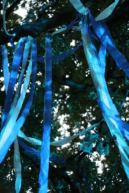 streamers in trees or from clothes line Blue Streamers, Snowy Field, Outdoor Trees, Victoria Park, Crepe Paper, Clothes Line, Pretty Things, Wind Sock, Carnival