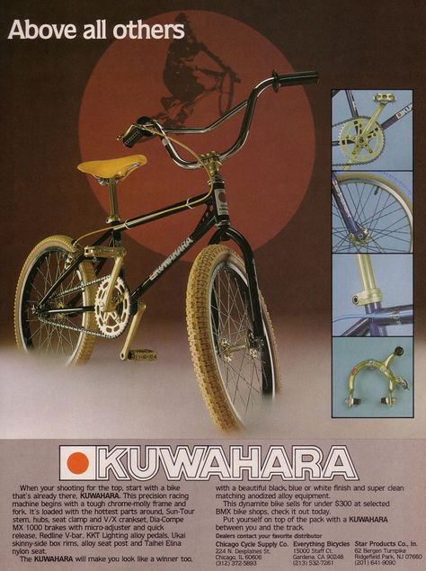 Vintage Bmx Bikes, Dirt Jumper, Bmx Parts, Bmx Racing, Bike Poster, Bmx Freestyle, Used Bikes, Vintage Bicycle, Racing Motorcycles