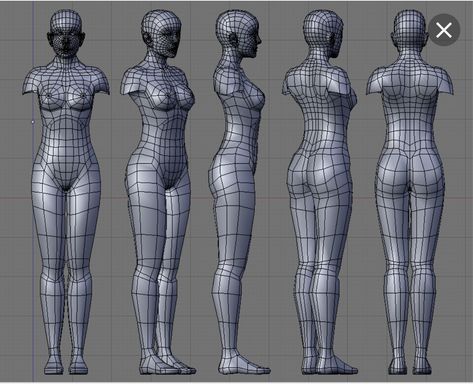 The BLUEPRINT Maya Modeling, Model Template, 3d Karakter, Low Poly Character, Body Template, 3d Modeling Tutorial, Character Model Sheet, Female Reference, Model Sheet