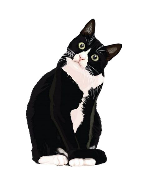 Tuxedo Cat Illustration, Tuxedo Cat Wallpaper, Two Cats Drawing, Black And White Cat Illustration, Tuxedo Cat Drawing, Black And White Cat Drawing, Tuxedo Cat Tattoo, Wallpaper Gatos, Cats Art Drawing