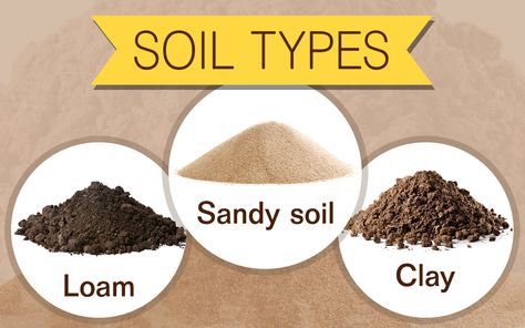 Soil Activities, Soil Type, Physical And Chemical Properties, Garden Tool Organization, Beef Tips, Soil Testing, Soil Layers, Sandy Soil, Garden Nursery