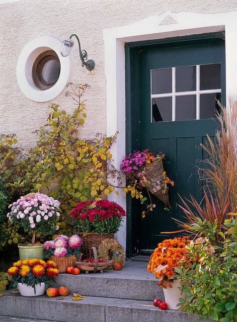 Plants For Outdoor Pots, Front Door Decor Ideas Entrance, Planters Front Door, Decoration Ideas With Flowers, Front Door Decor Ideas, Front Door Plants, Door Decor Ideas, Door Decoration Ideas, Front Door Planters