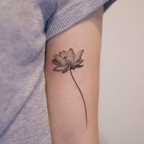 45 Lotus Flower Tattoos Meanings 2023 - Barb Designs & Ideas Lotus And Flower Tattoo, Lotus Flower With Stem Tattoo, Lotus Shoulder Tattoo, Minimal Lotus Tattoo, Lotus Flower Tattoo Men, Lotus Tattoo Men, Waterlilly Tattoo, Lotus Flower Sketch, Tattoos Lotus Flower