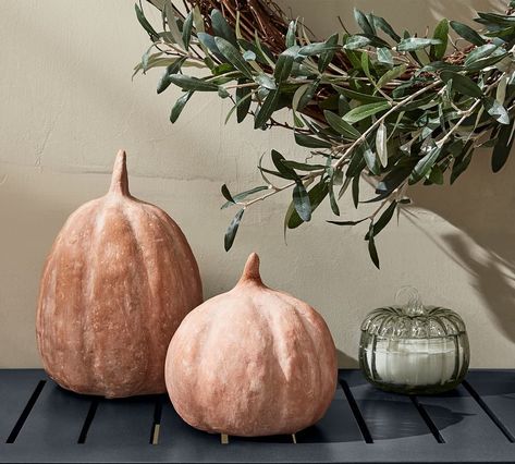 For a Natural Aesthetic: Terra Cotta Pumpkin Terra Cotta Pumpkins, Pumpkin Pottery, Pottery Barn Halloween, Pumpkin Scented Candles, Autumn 23, Pumpkin Vase, Decor Pottery, Holiday Decor Halloween, Pumpkin Scent