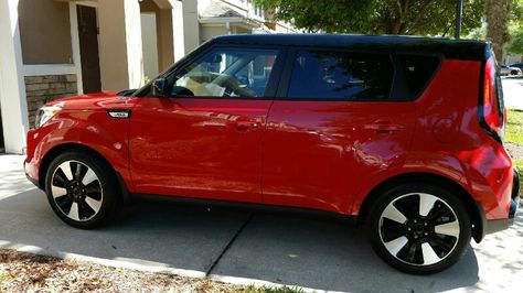 BEAUTIFUL RED 2016 SOUL 2023 Kia Soul, Kia Soul Accessories, Green Kia Soul, Red Kia Soul, 2013 Kia Soul, Kia Soul 2016, Kia Sportage 2016, 2016 Cars, Hatchback Cars