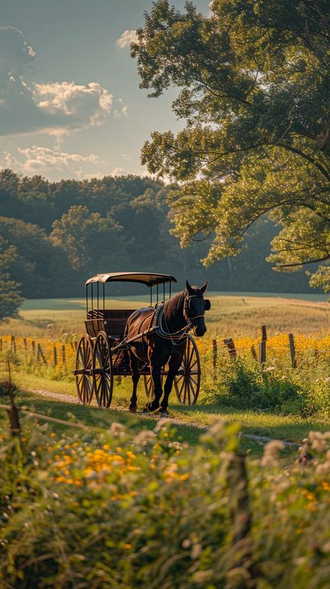 #Horse-drawn carriage ride: A #tranquil #horse-drawn #carriage ride along a #scenic path bordered by lush meadows and forests. #horse #carriage #nature #scenic #tranquil #aiart #aiphoto #stockcake ⬇️ #Download and 📝 #Prompt 👉 https://stockcake.com/i/horse-drawn-carriage-ride_581610_976025 Horse Buggy Carriage, Horse Carriage Aesthetic, Carriage Aesthetic, Horse Leads, Horse Wagon, Carriage Ride, Horse Drawn Carriage, Winter Horse, Space Movies