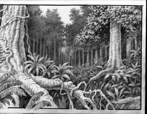 jungle sketch by scratchmark Jungle Drawing Sketches, Jungle Sketch, Jungle Drawing, Nature Background Images, Pen Sketch, Tree Roots, Environment Design, Nature Backgrounds, Drawing Base