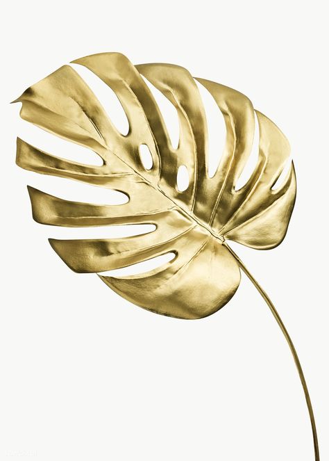 Songs Journal, Gold Banner, Tropical Background, Flower Graphic Design, Gold Party Decorations, Decoration Photo, Leaf Background, Golden Leaves, Gold Background