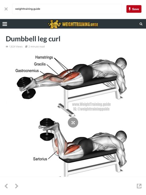 Rectus Femoris, Leg Curl Machine, Good Back Workouts, Hamstring Workout, Workout For Flat Stomach, Leg Curl, Trening Fitness, Weight Training Workouts, Workout Chart