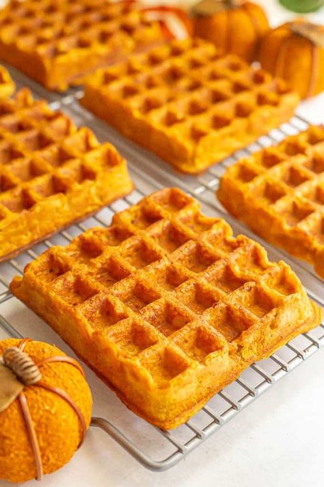 Healthy pumpkin waffles are fluffy on the inside with an irresistible crispy edge on the outside. They’re whole wheat and naturally sweetened for a delicious warm and cozy fall breakfast treat! Waffles are a must have in our house pretty much every weekend. On Saturday morning, my kids wake me up and tell me if...Read More Pumpkin Waffles Healthy, Healthy Pumpkin Waffles, Pumpkin Protein Waffles, Healthy Waffles, Squash Puree, Protein Waffles, Pumpkin Chili, Pumpkin Waffles, Healthy Blueberry