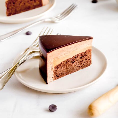 Fudgy Brownie and Nutella Mousse Cake — Julie Marie Eats Nutella Mousse Cake, Caramel Mousse Cake, Milk Chocolate Mousse, Nutella Mousse, Chocolate Almond Cake, Caramel Mousse, Caramelized White Chocolate, Mousse Cake Recipe, Fudgy Brownie