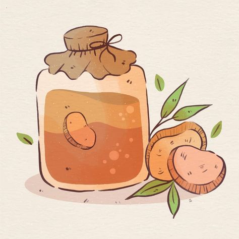 Fermentation Illustration, Kombucha Illustration, Jar Illustration, Tea Illustration, Peanut Butter Jar, Kombucha Tea, Fruit Benefits, Tea Benefits, Food Challenge