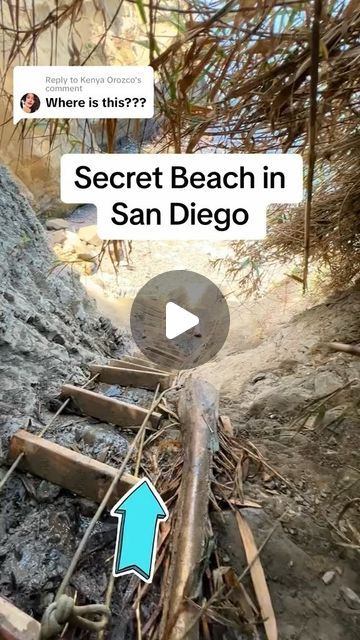 SoCal • California • Travel Hidden Gems on Instagram: "Secret beach & Swing in SoCal?! ☀️🌊⛱️ | 📍La Jolla Cove

I’m excited for you to find this secret beach in San Diego! 

⚠️There are some gorgeous sites once you’re down there. Be careful, once you get to the bottom, the pebbles are slippery. ‼️

*please note that some times the city removes the swing and blocks this access due to weather, erosion or other dangers. 
•
•
•
•
•
#sandiego #sandiegohiddengems #thingstodoinsandiego 
#lajollacove #lajollashores #secret #swing #secretswing #hiddenbeach #california #visitcalifornia #californiaadventures #hiddengem #hidden #pools #tidepools #tidepool #ocean #views #springbreak #summer #bucketlist #sandiegolife #sandiegoblogger #socaladventures #socallife #socal #sd #la #oc" Hidden Swings San Diego, San Diego Beaches, Hikes San Diego, Hikes Near San Diego, San Diego Scenic Drives, La Jolla Shores, La Jolla Cove, San Diego Beach, Secret Beach