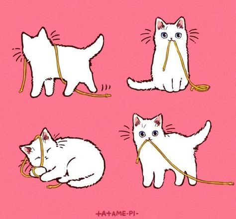 White Cat Drawing Cute, White Cat Drawing, White Cat Illustration, Cat Obsession, Guided Art, Cat Stamp, Cats Artists, Cat Illustrations, Cat Books