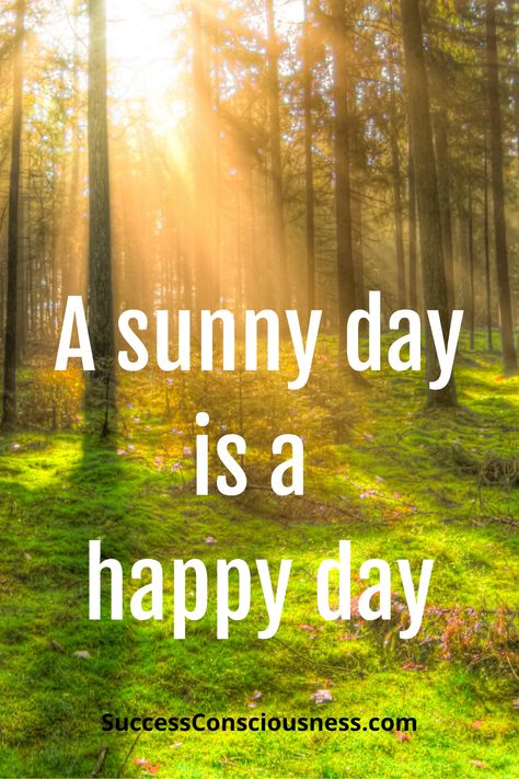 Happy Day Images, Sunny Day Quotes, Sunny Day Images, Sunny Quotes, Sunny Images, Facebook Cover Photos Quotes, Quotes To Brighten Your Day, Sunshine Quotes, Sunny Sunday