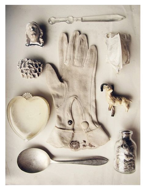 penny laine: cabinet of curiosities Organized Things, Secret Drawer, Things Organized Neatly, Pretty Aesthetic, Object Photography, Color Board, Found Object Art, Assemblage Art, Shadow Boxes