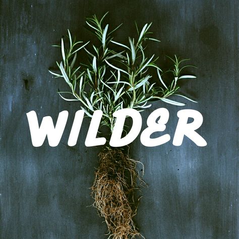 Wilder Name, Wilder Name Meaning, Wild Crats Brothers, Male Nature Names, Where The Wild Things Are Movie Aesthetic, Names That Mean Forest, Baby Help, Fantasy Names, Baby #5