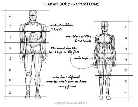 Human Body Proportions (Male and Female) by Ametystical “ For the man I used the so well known 8 heads canon. People usually use the same canon for females but since them are smaller than males I prefer to use 7 heads for drawing the woman. That... Body Proportion Drawing, Human Body Proportions, Drawing Body Proportions, Drawing Proportions, Drawing Female Body, Human Anatomy Drawing, Human Figure Drawing, Human Drawing, Body Proportions