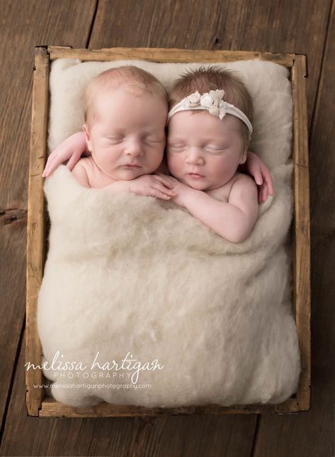 Newborn Twin Photos, Twin Baby Photography, West Hartford Connecticut, Twin Baby Photos, Twins Photography, Twins Posing, Newborn Twins Photography, Twin Pictures