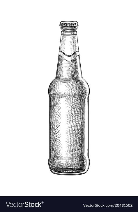 Beer Bottle Illustration, Beer Sketch, Beer Bottle Drawing, Bottle Sketch, Beer Drawing, Beer Bottle Art, Hatch Drawing, Bottle Vector, Shading Drawing