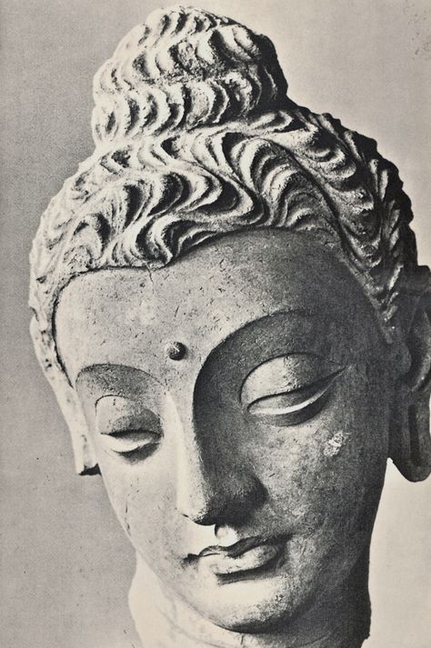 buddha photo Buddha Art Painting, Indian Sculpture, Buddha Sculpture, Gautama Buddha, Buddha Painting, Buddha Head, Buddha Image, Buddha Art, Buddhist Art