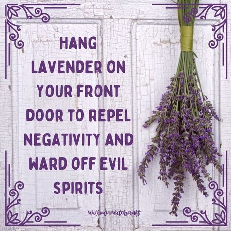 Perfect Spring decor for the fromt door. 😉 Hang Plants, Money And Abundance, Ward Off Evil Spirits, Witch Herbs, Wiccan Magic, Witch Spirituality, Magic Spell Book, Magic Herbs, Wiccan Spell Book