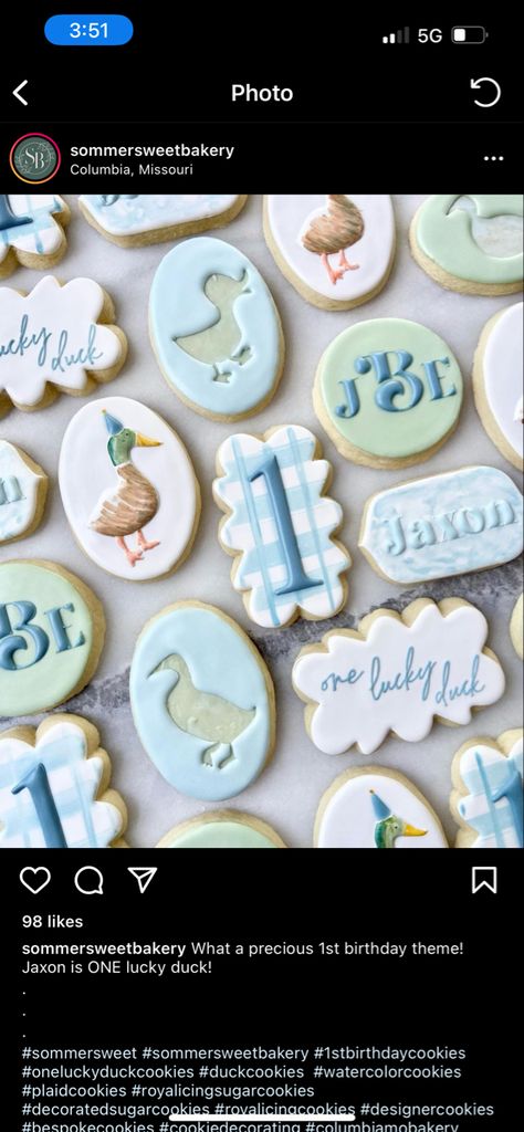 One Lucky Duck Birthday Party Cookies, Mallard Themed 1st Birthday, Mallard First Birthday Party Boy, One Lucky Duck First Birthday Party, One Lucky Duck Birthday Party Mallard Cake, Mallard Duck Cookies, Duck 1st Birthday Boy, One Lucky Duck Cookies, Duck First Birthday Party Boy