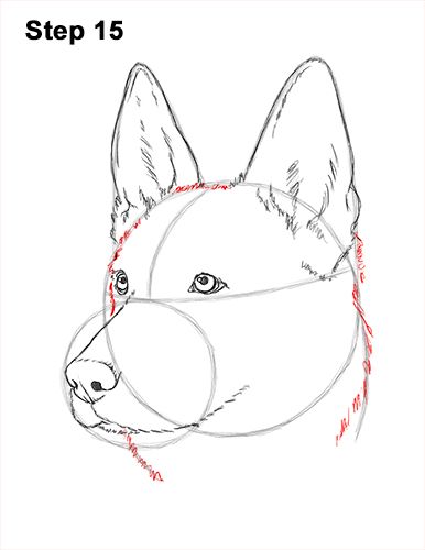 Draw a German Shepherd Dog Face 15 Draw A Labrador, Dog Face Drawing, German Shepherd Videos, Dog Drawing Tutorial, Dog Design Art, German Shepherd Art, Colorful Hairstyles, 강아지 그림, Dog Crafts