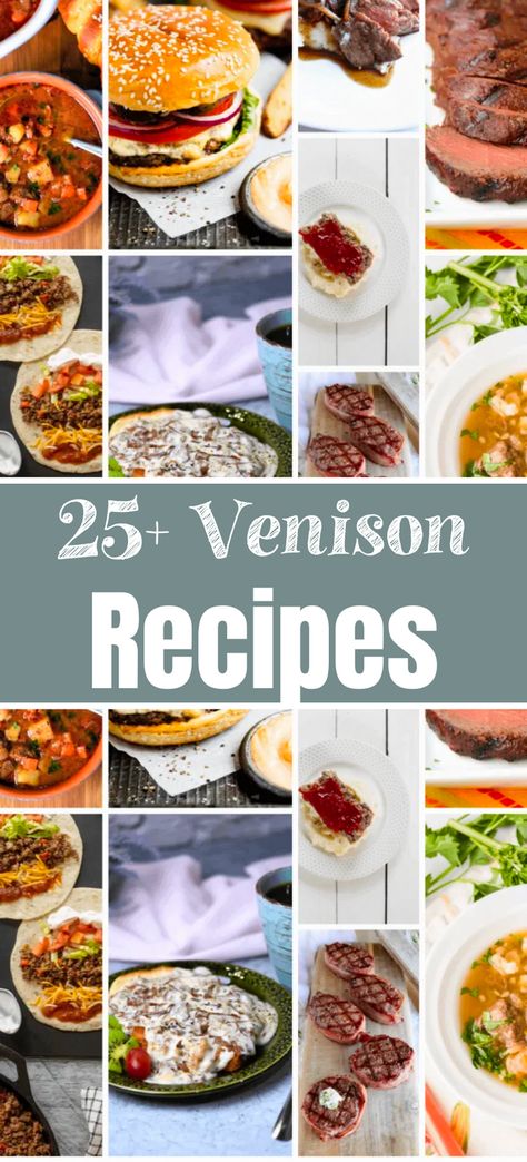 25+ Venison Recipes Deer Steak Recipes, Deer Roast, Venison Steak Recipes, Lasagna With Cottage Cheese, Backstrap Recipes, Deer Steak, Rib Eye Recipes, How To Cook Venison, Venison Tenderloin