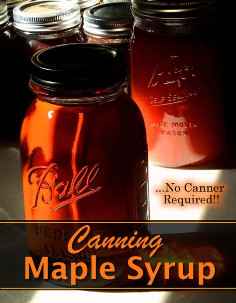 How To Can Maple Syrup - without using any canner... #canning #canningrecipes #maplesyrup #homestead #homesteading Canning Maple Syrup, Canning Bacon, Maple Syrup Recipe, Diy Canning, Homestead Lifestyle, Maple Syrup Recipes, Canning Peaches, Ratatouille Recipe, Homestead Ideas