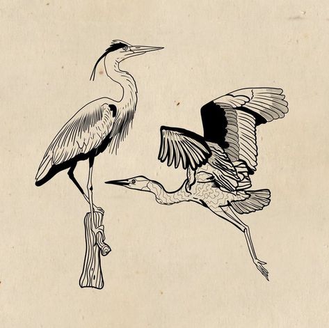 Cranes In The Sky Tattoo, American Traditional Heron Tattoo, Boy And The Heron Tattoo, Grey Heron Tattoo, Crane Drawing Simple, The Boy And The Heron Tattoo, Heron Tattoo Traditional, Crane Bird Tattoo, Egret Tattoo