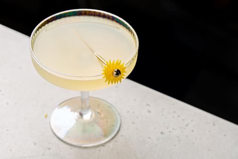 The Sunflower cocktail is a citrusy gin drink with some floral notes. A variation of the classic Corpse Reviver No 2, it substitutes St Germain elderflower liqueur for the aromatized wine to delicious effect. The floral notes combine with the herbal gin and the citrus flavors to create a complex, yet light, drink. A spritz of Absinthe into the glass gives this a little boost of anise flavor. Sunflower Cocktail, Lemon Peel Garnish, St Germain Cocktail, Elderflower Cocktail, Corpse Reviver, Gin Sour, Gin Drinks, Cocktail Serving, Cocktail Picks