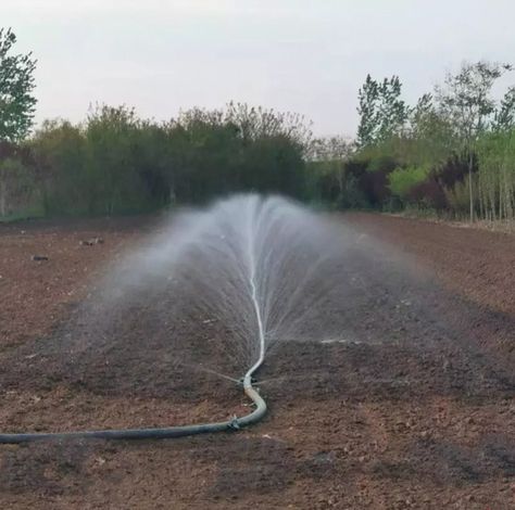 Tree Irrigation, Micro Flat, Garden Hose Storage, Spray Ground, Automatic Irrigation System, Garden Watering System, Lawn Irrigation, Water Timer, Sprinkler Irrigation