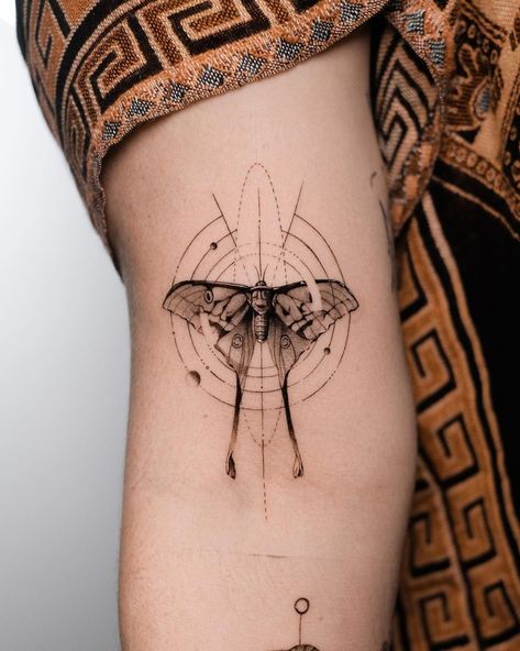 Moth Metamorphosis Tattoo, Abstract Moth Tattoo, Moth Tattoo Men, Small Moth Tattoo, Metamorphosis Tattoo, Moth Tattoo Meaning, Traditional Moth Tattoo, Luna Moth Tattoo, Moth Tattoos