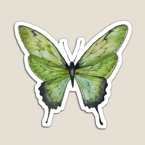 Get my art printed on awesome products. Support me at Redbubble #RBandME: https://www.redbubble.com/i/magnet/Monarch-Green-Sage-Butterfly-Watercolor-Sticker-Aesthetic-by-barbz2020/95792524.TBCTK?asc=u Laptop Stickers Collage, Sage Butterfly, Monarch Butterfly Watercolor, Cover Binder, Green Scrapbook, Aesthetic Butterfly, Sticker Aesthetic, Fairy Stickers, Images Kawaii