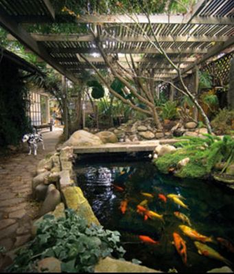 Beautiful koi pond! | http://www.greenturf.com/ Indoor Pond, Koi Pond Design, Kolam Koi, Backyard Pergola, Aquaponics System, Pond Design, Have Inspiration, Fish Ponds, Ponds Backyard