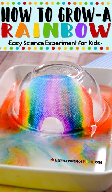 Learn how to grow a rainbow using a paper towel and markers. The directions are easy + video tutorial. Paper Towel Experiment, Grow A Rainbow, Rainbow In A Jar, Water Science Experiments, Rainbow Experiment, Capillary Action, Spring Science, Rainbow Activities, Lesson Plans For Toddlers