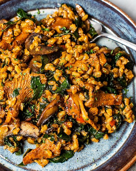 Farro with Wild Mushrooms | Tried & True Recipes Red Kale, Wild Mushroom Recipes, Farro Recipes, Fresno Chili, Veggie Main Dishes, Mushroom Recipes Healthy, Risotto Dishes, Tried And True Recipes, Bistro Food