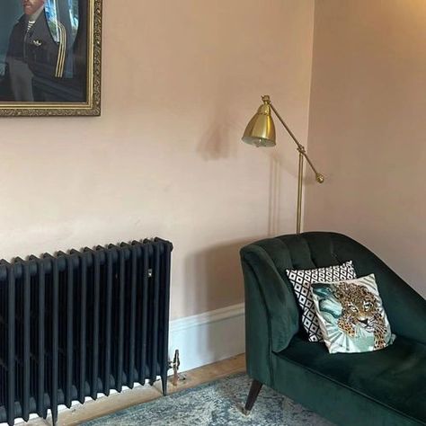 Photo of color Farrow and Ball 303 Templeton Pink Dead Salmon Farrow And Ball, Templeton Pink, Farrow And Ball Bedroom, Farrow And Ball Living Room, Cast Iron Radiator, Iron Radiator, Pink Paint Colors, Dark Paint Colors, Living Room Redo