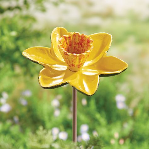 Flower petals gently cupped to catch water or hold a bit of seed provide important sustenance for your feathered friends. The vivid colors of the cast-iron flowers attract birds and humans alike, whether you place the stakes in pots or gardens. About 33"h, 5-6" diameter. Specify Poppy, Sunflower, or Daffodil. Sensory Tables, Metal Bird Feeders, Flamingo Garden, Clay Bird, Wild Bird Feeders, Garden Pottery, Club Ideas, Outdoor Flowers, How To Attract Birds