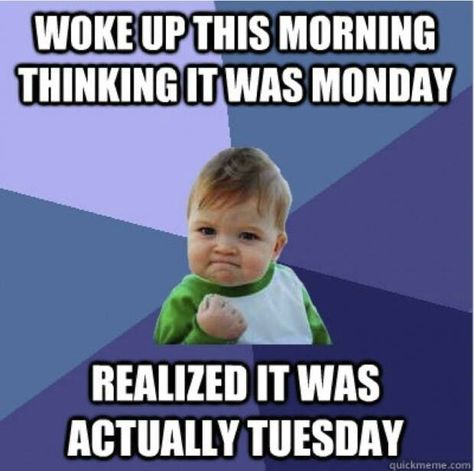 Always the case after a long weekend.... Long Weekend Humor, Happy Tuesday Meme, Funny Tuesday, Tuesday Meme, Funny Monday Memes, Morning Memes, Monday Memes, Tuesday Quotes, Tuesday Humor