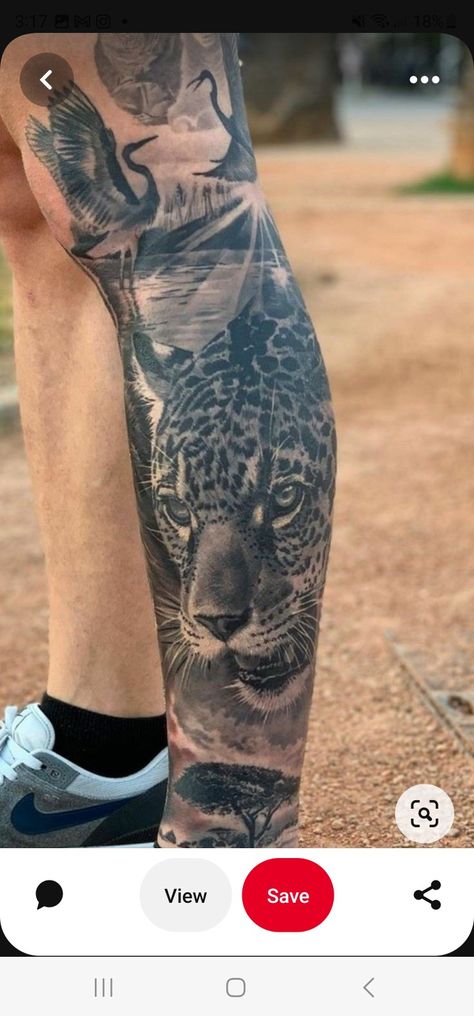 Animal Calf Tattoo Men, Safari Back Piece Tattoo, Animal Calf Tattoo, Safari Leg Tattoo, Safari Leg Sleeve Tattoo, Safari Leg Sleeve, Tiger Leg Tattoo Men, Leopard Tattoo Men, Jaguar Chest Tattoo