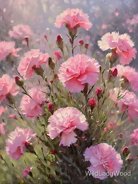 Field of pink carnations, acrylic art style. by WildLadyWood | Redbubble Pink Carnation Aesthetic, Carnation Field, Carnations Aesthetic, Carnations Painting, Carnation Dianthus, Floral Photography Nature, Magic Plants, Pretty Flowers Pictures, Kanade Yoisaki