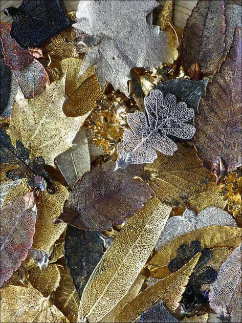 Electroplated Leaves by Undistilled Leaf Projects, Chrome Car, Photoshop 7, Science Chemistry, Materials Science, Real Leaves, Electroformed Jewelry, Glass Work, Glass Studio