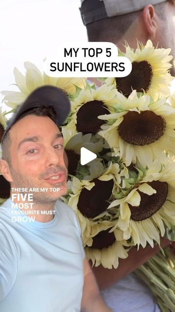 Antonio Valente Flowers on Instagram: "FAVOURITE SUNFLOWER VARIETIES! ⁣
⁣
Want to grow a few of your own? We currently have a beautiful selection of sunflower seeds available in our online shop. Link in bio. ⁣
⁣
My top eight varieties: ⁣
⁣
1. ‘Pro Cut White Nite’ ⁣
2. ‘Pro Cut Plum’⁣
3. ‘Panache’⁣
4. ‘Ruby Eclipse’ ⁣
5. ‘Pro Cut Gold’⁣
6. ‘Pro Cut Red’⁣
7. ‘Pro Cut White Lite’⁣
8. ‘Pro Cut Orange’ ⁣
⁣
Feel free to save this list for future reference by tapping the bookmark icon just below the lower right corner of the reel.⁣
⁣
🌻🌻🌻🙋🏻‍♂️🌻🌻" Sunflower Varieties, Bookmark Icon, Cut Orange, Sunflower Seeds, Yard Ideas, 7 Pro, Most Favorite, To Grow, Sunflower