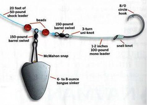 Suggested baits, rigs, and techniques to catch surf fish like red drum, bluefish, and striped bass. Surf Fishing Tips, Pesca In Mare, Surfing Tips, Salt Water Fishing, Bass Fishing Tips, Surf Fishing, Fishing Rigs, Fishing Techniques, Buy Fish