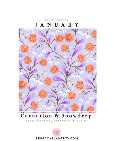 I’ve made a few half hearted attempts at doing a birth flower series over the last couple of years, but this year I thought I’d do a properly coordinated one. Most of the months have 2 flowers so I decided to create some imaginary hybrid creations for each month! Carnations and Snowdrops are the 2 flowers for January. If you’re celebrating a birthday this month, happy birthday, and which of the two birth flowers for this month would you choose as your favourite? Gifts, cards, art prints and ... January Flowers, Snow Drops Flowers, Birth Flower Art, 2 Flowers, Procreate Tutorial, Cards Art, Carnation Flower, Ideas Casa, Gifts Cards