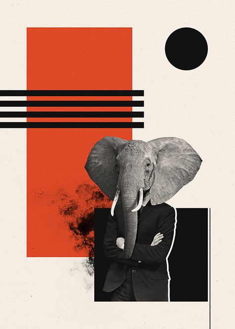 various illustrations on Behance Cristiana Couceiro, Digital Collage Art, Collage Illustration, Collage Design, An Elephant, Illustration Graphic Design, Pics Art, Design Graphique, Surreal Art